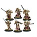 Warmachine: Protectorate - Knights Exemplar Unit Box (6)