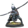 Hordes: Legion - Blighted Nyss Warlord Solo (1)