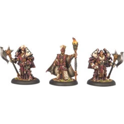 Warmachine: Protectorate - Visgoth Rhoven & Honor Guard (3) (Last Chance)