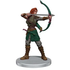 D&D Icons Of The Realm: Adventures In The Forgotten Realms - Companions Of The Hall -Model Toy Store wzk96109 2