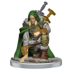 D&D Icons Of The Realm: Adventures In The Forgotten Realms - Adventuring Party -Model Toy Store wzk96110 5 1